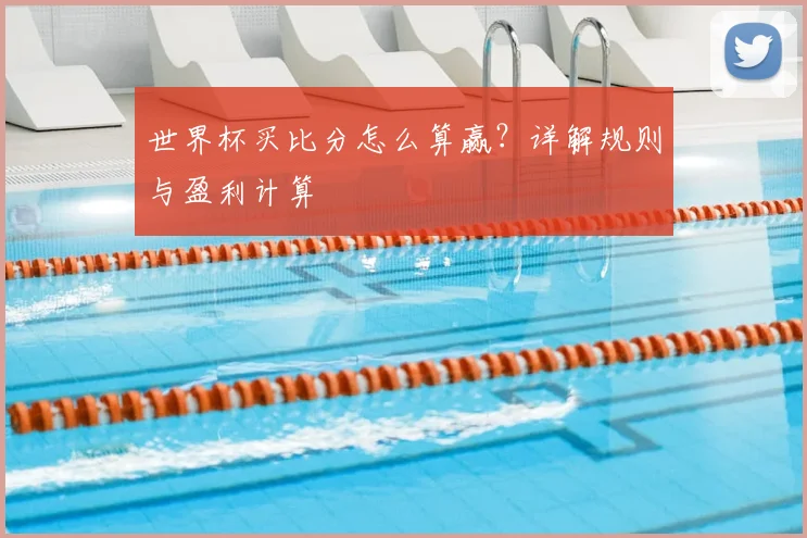 世界杯买比分怎么算赢?详解规则与盈利计算