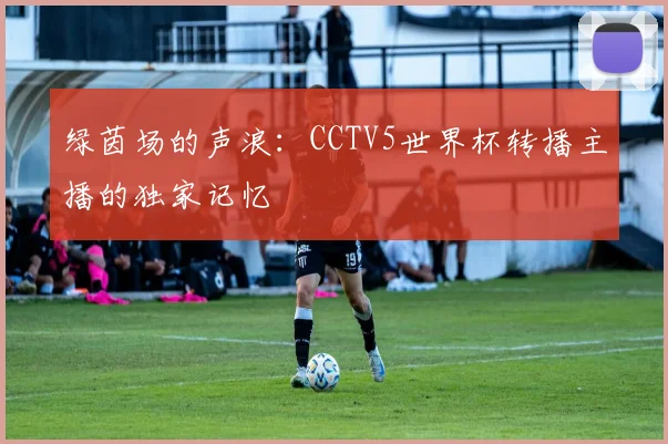 绿茵场的声浪:CCTV5世界杯转播主播的独家记忆