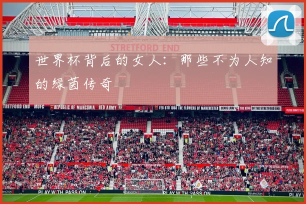 世界杯背后的女人：那些不为人知的绿茵传奇