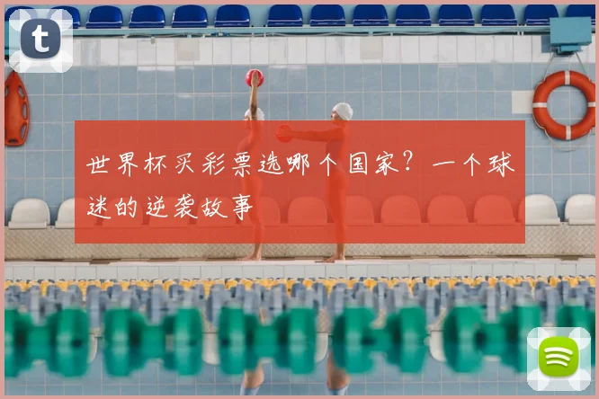 世界杯买彩票选哪个国家？一个球迷的逆袭故事